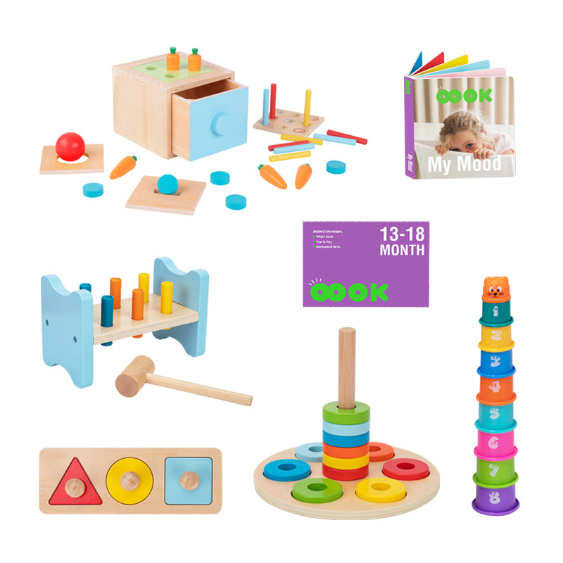 13-18 Month Wooden Educational Box