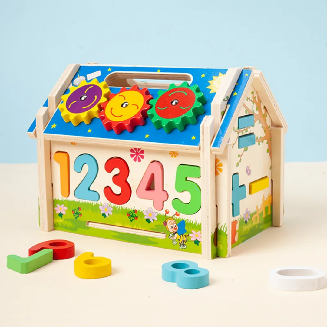 Multi-functional intelligent house